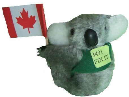 Koala with Canada Flag